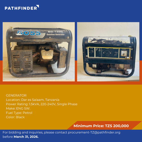 SMALL GENERATOR (BOSS )