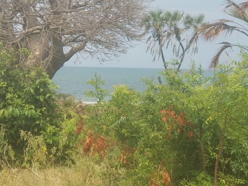 4000sqm beachplot for sale