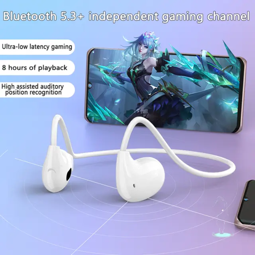 earphones