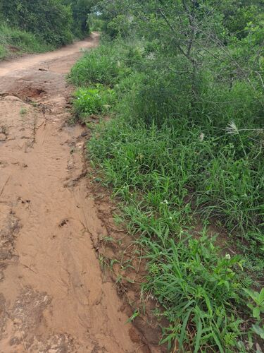 Shamba linauzwa kiwangwa pwani