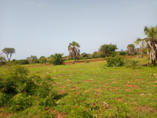 BEACH PLOTS MBUTU KIGAMBONI