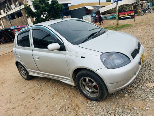 vitz     rvs