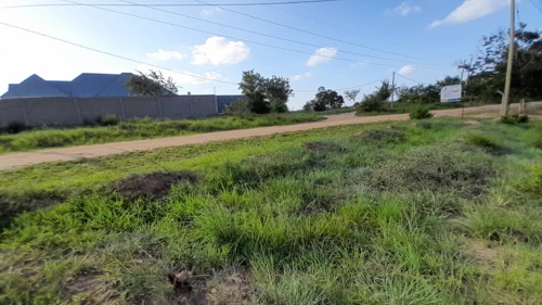 Viwanjwa Bei Nafuu Pangani