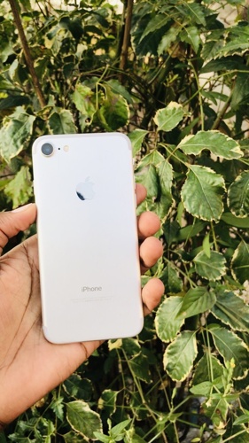IPHONE 7 PLAIN