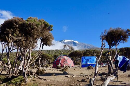 7 Days Kilimanjaro Climb Machame Route