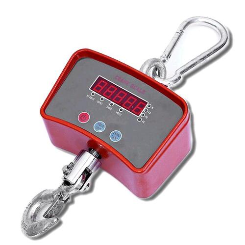 Digital scales