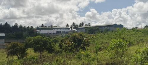 ENEO KUBWA EKARI 12 MKURANGA