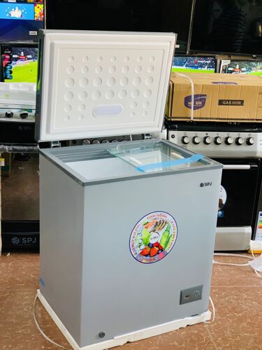 Friza lita 100