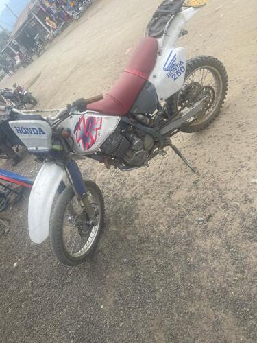 MB 30 HONDA 