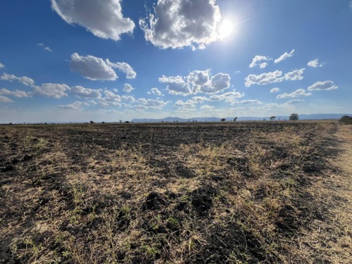 121 ACRES FARMLAND AT MANYARA