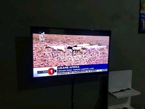 Tv, Tv, Tv(Evoil) inch 32