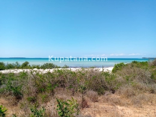 Beach Plot For Sale At Kigamboni JIJINI Dar Call Us 0784862313