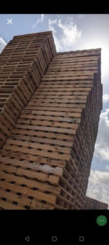 Wooden pallets 
