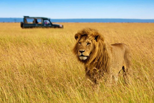 6 Days Tanzania Camping Safari