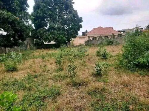 BUNJU KUN EKA1 NAUZA 