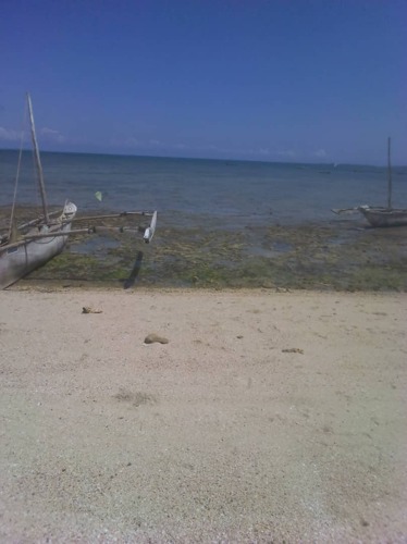 Beach plot for sale at fukuchani near Nungwi