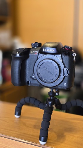 LUMIX GH5S