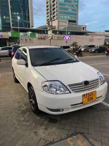 Corolla corola x police 