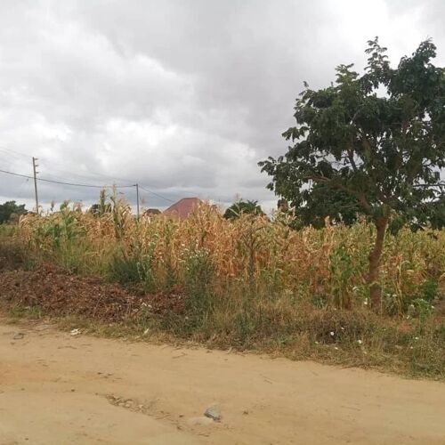 Kiwanja kinauzwa