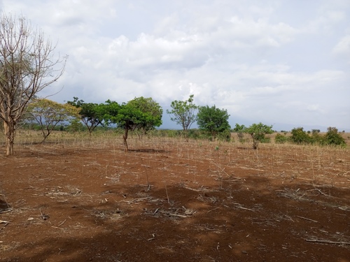 Land for sale in Moshi at Maili Sita near kikavu river