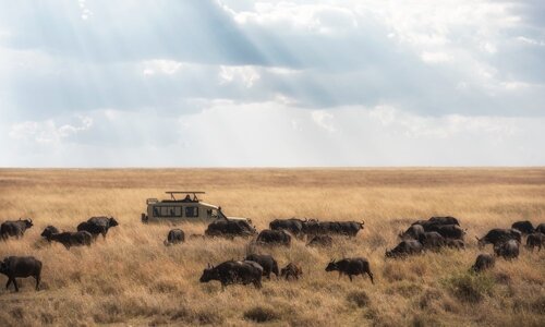 Tanzania Lodge Safaris