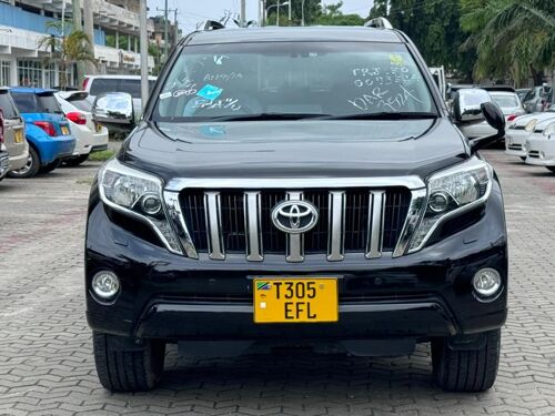 Land Cruiser NZURI SANA 