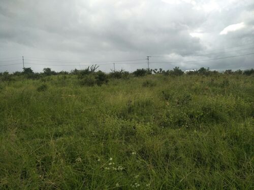 KIWANJA KIZURI SANA KINAUZWA 