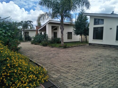 House For rent 
