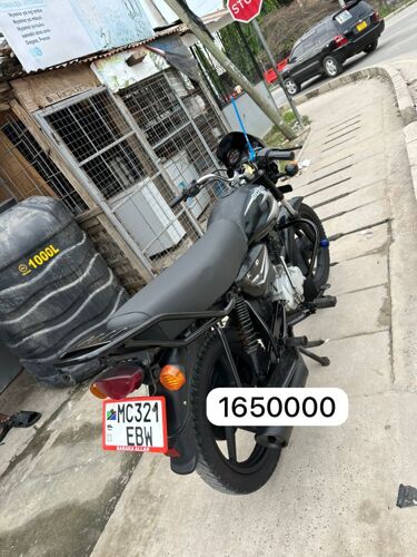Boxer for sale 