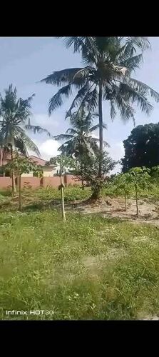 MBEZI ZONE VIWANJA VIPO