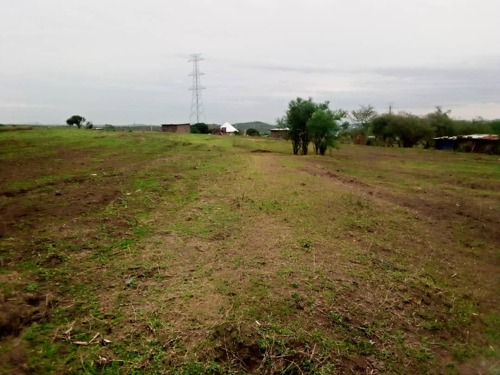 HEKA 4 ZINAUZWA KISONGO
