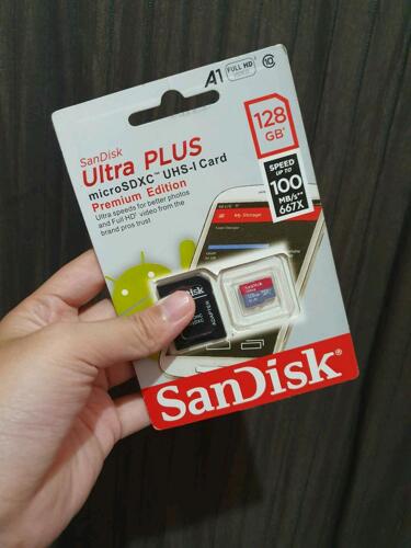 SanDisk 128gb micro SD card