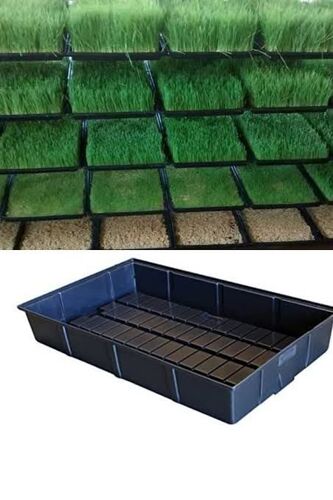 Hydroponic fodder tray ..