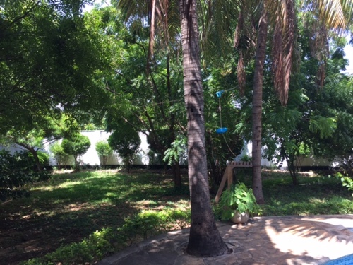 Lush standalone Masaki