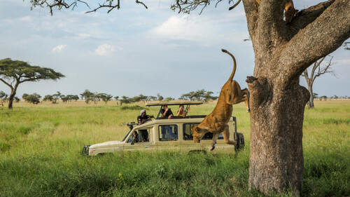 5 Days Tanzania Lodge Safaris