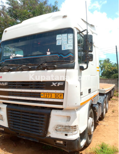 DAF XF HORSES NA TELLER