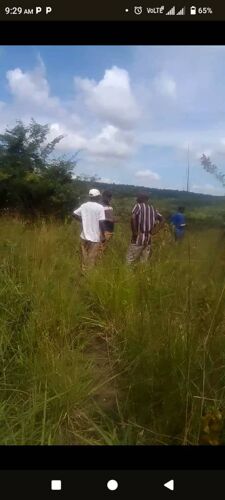 Hekari  10 zinauzwa za shamba
