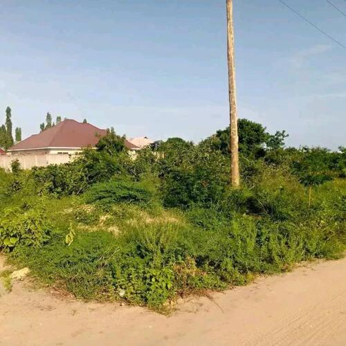 PLOT FOR SALE MBWENI MPIJI