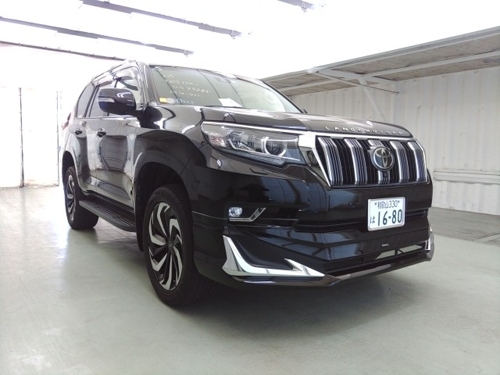 2019  LAND CRUISER  ea269228