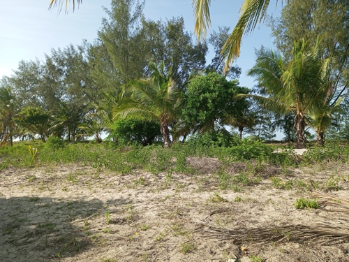 Front Beach Plot for sale at Bamba Beach-Gezaulole Kigamboni