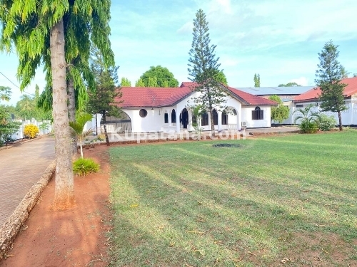 nyumba inapangishwa salasala iptl