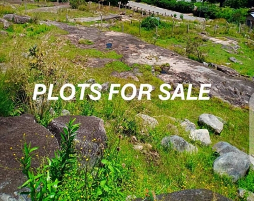 Plots for sale