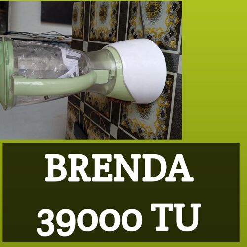 Brenda 