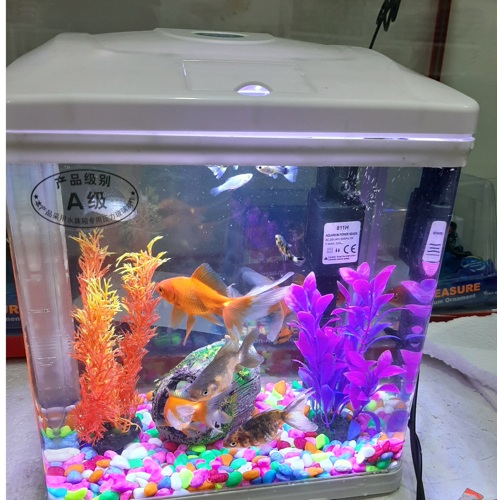 09 Liters Fish Aquarium Fish Tank /Tanki la samaki wa urembo