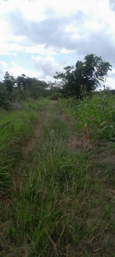 SHAMBA EKA2,VYUMBA 2 MLANDIZI