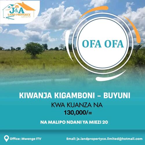 OFFA Viwanja kigamboni Buyuni