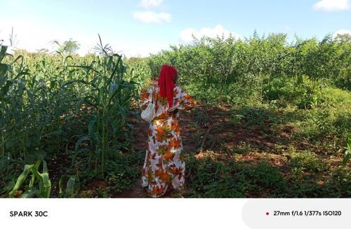Shamba la eka 20 linauzwa lote