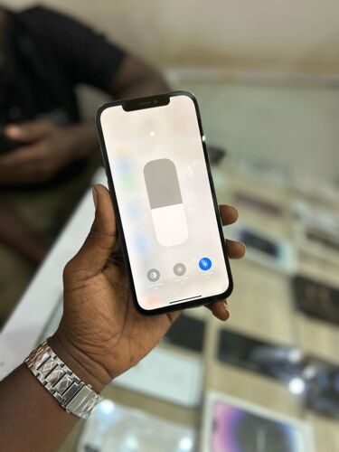 iPhone 12 Pro Max
