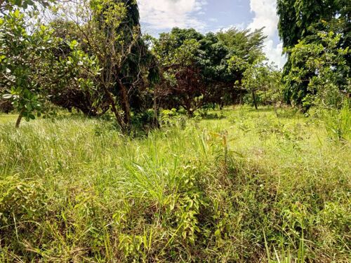 80 ACRES LAND IN CHALINZE 