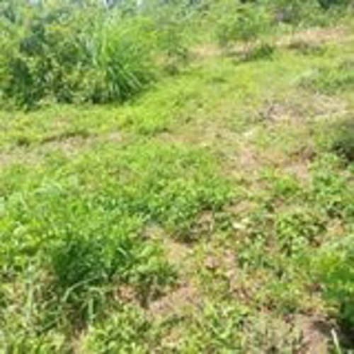 Road plot Kigamboni Gezaulole